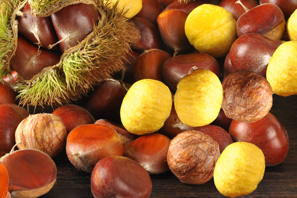 色差儀在板栗果肉褐變程度檢測(cè)中的應(yīng)用