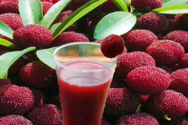 色差儀在楊梅汁色澤評(píng)定中的應(yīng)用