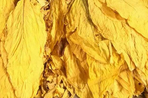 色差儀在煙葉顏色分類與標(biāo)準(zhǔn)建立中的應(yīng)用