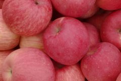 色差儀檢驗蘋果顏色