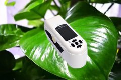 色差儀檢測綠蘿不同顏色的葉片