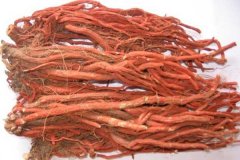 色差儀測(cè)定丹參顏色差異