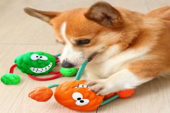 分光測色儀管控寵物玩具顏色的一致性